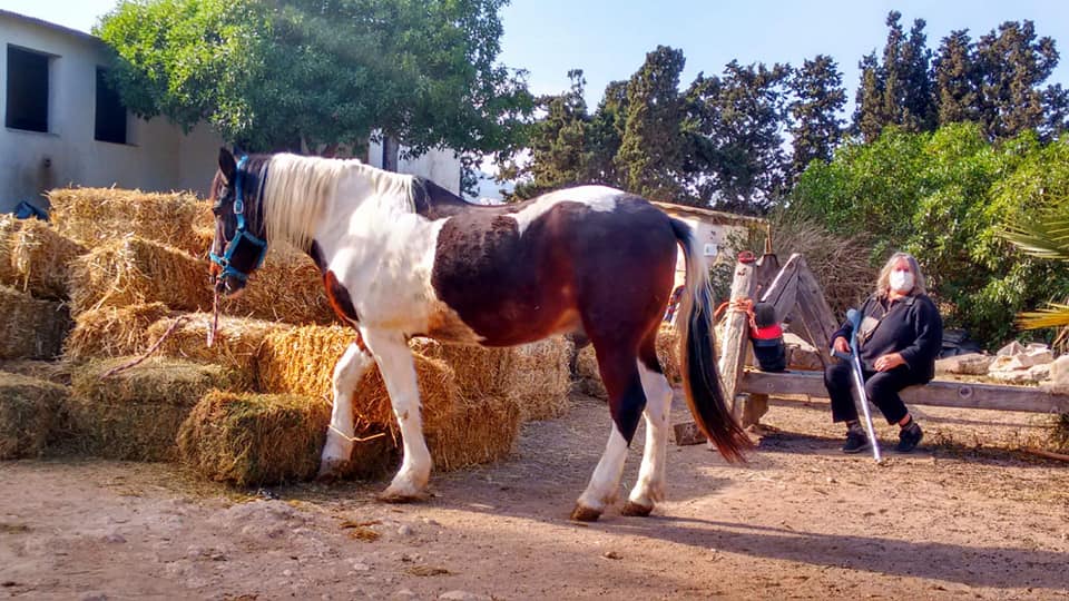 Rancho de la Fuente – Sauvegarder des chevaux