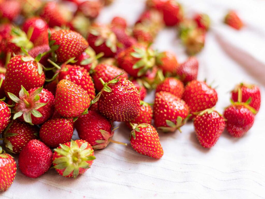 Strawberries in February!!!!!